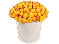Флорида