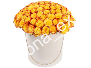 Флорида