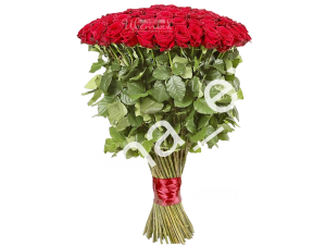 Розы красные 120 см.