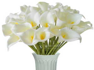 Калла Эфиопская