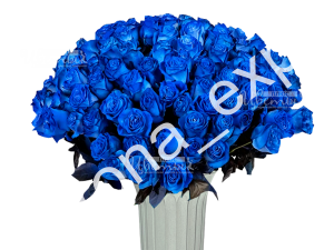 Розы синие (голубые)