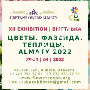 Цветы. Фазенда. Теплицы. Алматы-2026