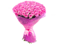 Пинк Лав